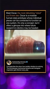 Meet Oscar, the most disturbing "robot" you'll ever see. Oscar is a modular human-style