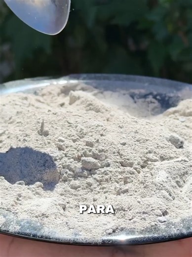 🌱 Aprende a cultivar tu propio huerto en casa o apartamento 🏡 📘 Manual digital paso a paso para principiantes Aunque no tengas jardín ni mucho espacio, podrás cultivar tus propios alimentos orgánicos y saludables. 🍅 Tomates grandes y jugosos 🥬 Acelga y lechuga frescas 🥕 Zanahorias 🍓 Fresas 🥒 Pepinos 🧅 Cebollas y cebollinos 🥔 Papas 🌿 Cilantro, perejil, orégano ¡Y muchos cultivos más! Además aprenderás: 🌱 Cómo germinar semillas 🌿 Cómo preparar abonos orgánicos 🐛 Cómo controlar plagas