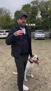 Taking Control Of A Situation So The Dog Doesn’t Have To…. …#boxer #dogs #dogtraining | Southend Dog Training