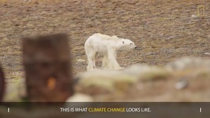 18K views · 259 reactions | This is what climate change looks like....