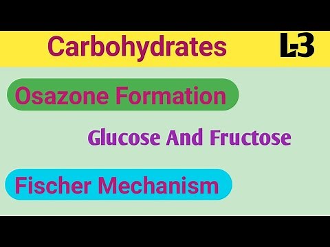 Osazone Formation For Glucose and Fructose By Fischer Mechanism||Ahmar Sir||BSc 2nd Semester