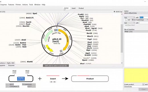 「SnapGene」用SnapGene模拟限制性酶切和DNA片段插入 Simulating Restriction And Insertion Cloning