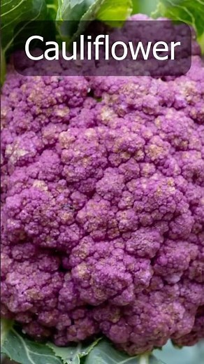 How to Grow & Harvest Cauliflower at Home 🥦 | Easy Gardening Guide!