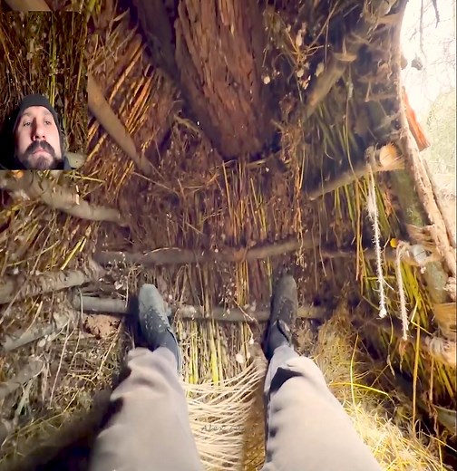 579K views · 6.9K reactions | Making a hanging shelter from a fallen tree - Survival in the Wolf's Den. | Alex Zana | Facebook