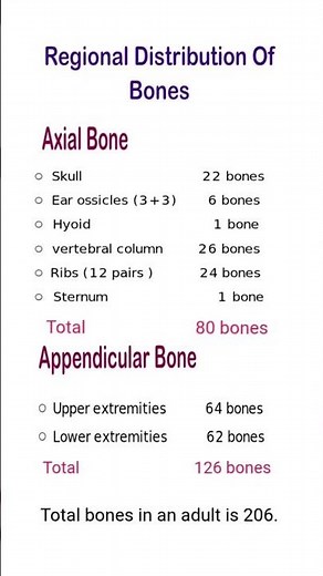 Regional Distribution of Human Bones – Axial & Appendicular Skeleton (206 Bones)