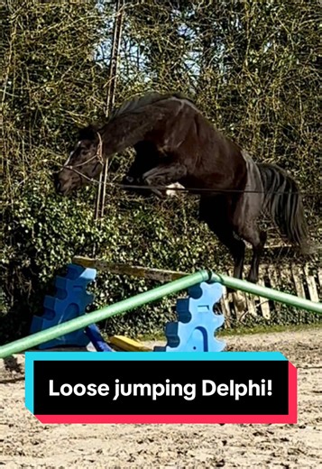 Get the predictions in now - what level will she jump to? 👀 My Delphi girl 🌚