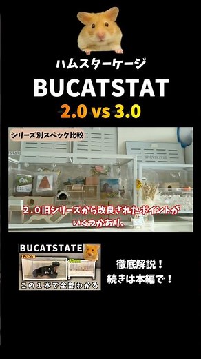 ↓ See the full review of the BUCATSTATE metal hamster cage in the main video! #GoldenHamster #Buc...