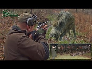 Spoločná poľovačka na diviaky