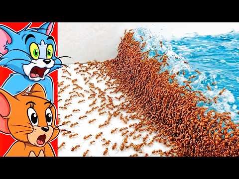 1000 ANTS vs NATURAL DISASTERS (Crazy)