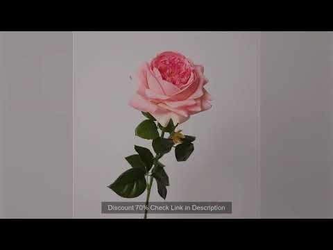 5Pcs Feel Moist Austin Latex Rose Real Touch Artificial Flowers Luxury Home Decoration Party Event W