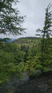 1.2K views | Well maybe a few complaints -105 #mine #pacificnorthwest #geology #coal #northwest #pnw #washington | Pnwadventurequest | Facebook