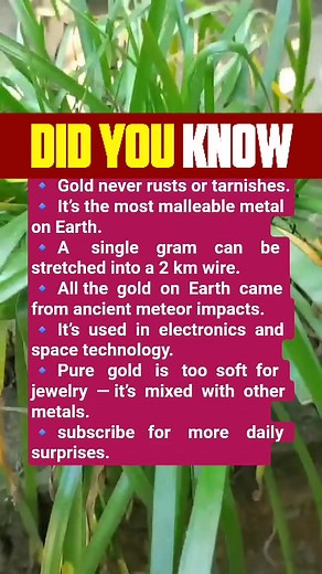 133K views · 369 reactions | Earth's gold came from ancient meteor impacts. #facts #DidYouKnow | RK Brain Exercise | Facebook