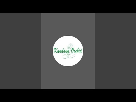 Kandang Orchid sedang live sekarang!