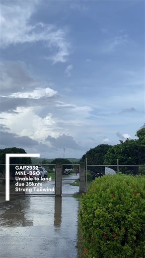 Landing Techniques with Strong Tailwind in Aviation