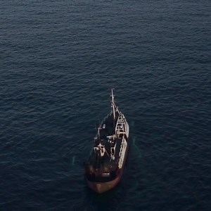 What would you do to save yourself, your family, your species? Sea Fever, written and directed by Neasa Hardiman, will grip you on Bluray and Digital HD this Friday, 24th of April. #IrishFilm | Screen Ireland