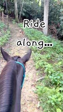 Safety in mind — we try out a new back trail to avoid the highway!