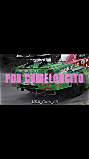 Drift Cat: Crazy Car Slides! 😼🚗💨 #cat #car #drifting