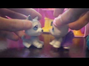 lps cinderella