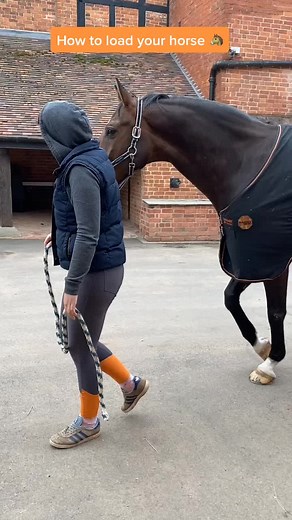 My Horse World Club on TikTok