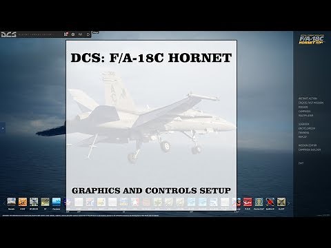 My Hornet Graphics and Controls Setup