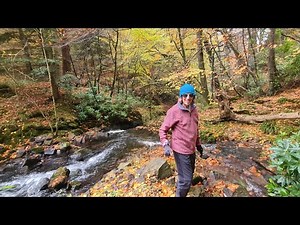 Glamis hidden valley: secrett waterfall & old fish farm.