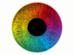 7.1K views · 31 reactions | Did you know that your eyes can identify around 10 million colours? Something that precious needs looking after. Book your next Eye Test to keep those colours shining bright: www.visionexpress.com/eye-health/how-your-eyes-work/ | Vision Express | Facebook