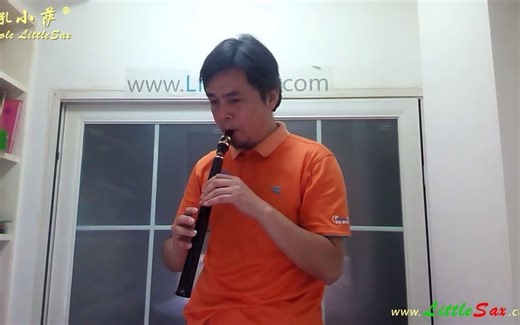 《滴答》- 8孔小萨（简易迷你口袋萨克斯） Di - Da 8 hole LittleSax, Pocket Sax, Mini Sax, Xaphoon