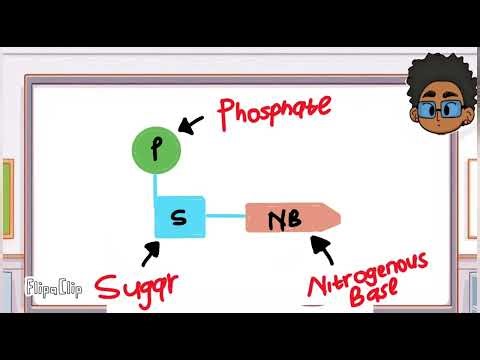 DNA code of life ...epi 01🔥👨‍⚕️