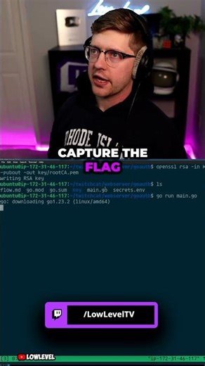 C, but for Offensive Security