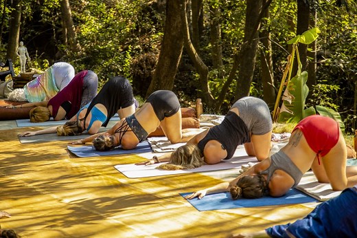 A 60-minute yin yoga sequence & A deep dive into Melting Heart pose