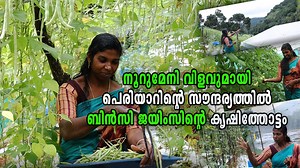 347K views · 6.9K reactions | ഇതുപോലൊരു കൃഷിത്തോട്ടം നിങ്ങളും ആഗ്രഹിച്ചുപോകും !!! പെരിയാറിന്റെ തീരത്ത് വനസൗന്ദര്യത്തിൽ ബിൻസി ജയിംസിന്റെ കൊച്ചു വലിയ കൃഷിത്തോട്ടം | Agri TV | Facebook