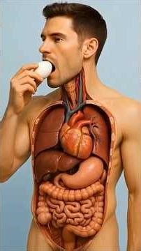 "What Happens If You Eat Egg 🥚"Health Effects, Side Effects & More" #health #healtheducation