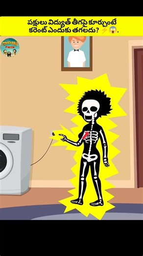 విద్యుత్ తీగపై పక్షులు కూర్చుంటే షాక్ ఎందుకు రాదు? 🤯 #ytshorts #shortsfeed #trending #facts #viral