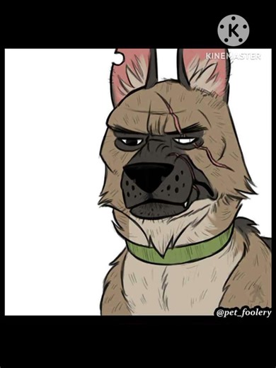 Pixies costume 😍 #comics #pixie #brutus