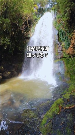 【長崎観光】大迫力の絶景★「潜竜ヶ滝公園」は穴場スポット♪ #shorts