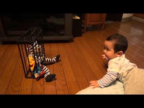 【赤ちゃん】ドッキリおもちゃ 【爆笑】