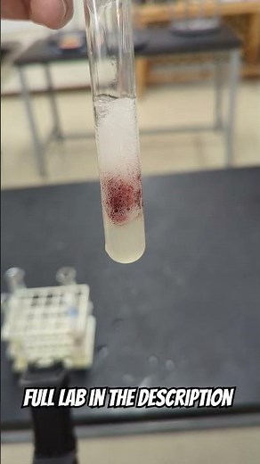 Enzyme Activity Lab. #biology