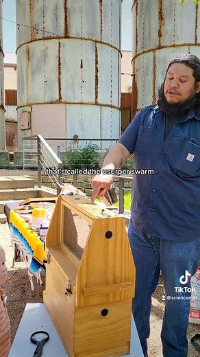 40 reactions | Have you ever heard of a USURPER SWARM?  At last Saturday’s Pollinator Palooza, @beekeeper_mike_mendez explained how Africanized bees or killer bees can take over a bee hive. Keep watching to find out! #texas #beekeeper #beekeeping #didyouknow #science #biology #funfacts #animals #sciencemill | Science Mill | Facebook