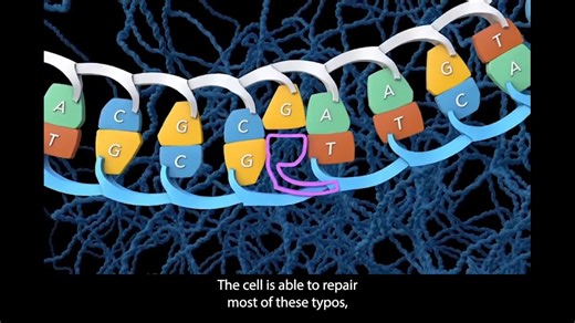 Pompe Warrior Foundation on Instagram: "🧬 Pompe mutations matter — and your specific variant can tell an important story. In this reel, we’re breaking down why gene mutations and variants are so important in Pompe disease and how they connect to symptoms, progression, and future therapies.📌 Stay tuned: We’re sharing more posts soon on the Pompe variant database, including how to search your mutation and where to find trusted information about what your specific gene change may mean. Knowledge 