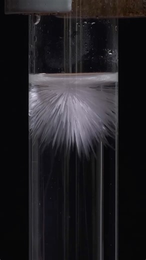 ACS Reactions on Instagram: "It’s called “heterogeneous nucleation.” And if you’ve seen some of our other shorts, yes, this crystallization is also how hand warmers work. #chemistry #crystallization #sodiumacetate"
