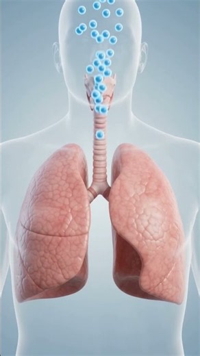 Can’t Catch Your Breath? Here’s Why 😮‍💨