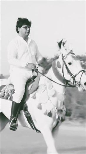 horse runing videohorse running video | | horse race video | | #shorts #animal #horse#dhurandhar#d