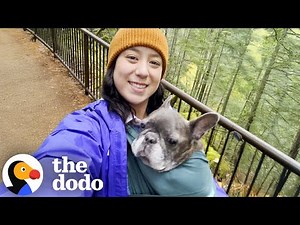 Why Dogs Are The New Kids For Millennials And Gen Z #Video