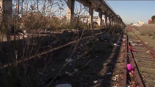 Dismembered, decomposing body discovered in Oakland