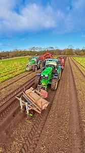2.4M views · 13K reactions | Here is a video of the Thoresby team lifting carrots. The variety is very well known as Nairobi, a good second early/main crop. Harvest will continue until Christmas/early New Year. #Carrots #harvest2025 #BackBritishFarming | Pro Horizon Farming Content | Facebook