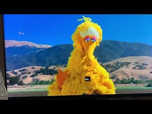 Big Bird Appearance In The Muppet Movie