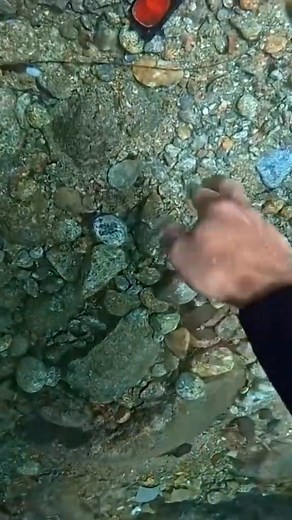 scubadiving 🤑 #scubadiving | Spearfishing Mido