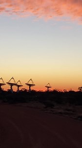 5.2K views · 378 reactions | The Australian Square Kilometre Array Pathfinder (ASKAP) radio telescope comprises 36 radio dishes, each 12m diameter, giving it the ability to rapidly survey large volumes of the cosmos, detect distant galaxies, study black holes and fast radio bursts. Very cool indeed CSIRO #spaceexploration #science | Tim Peake | Facebook