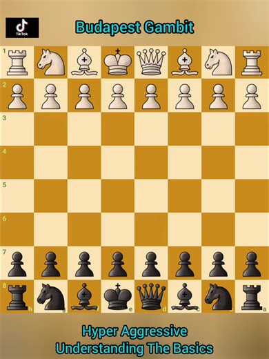 Chess Galleryan on TikTok