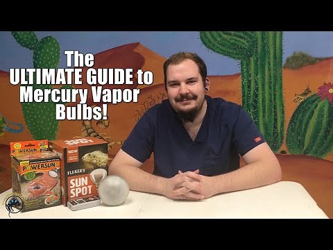 What is a Mercury Vapor Bulb and How Do You Use One? 💡